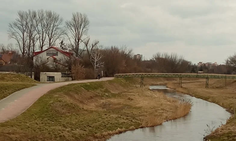 Kiedy przyszedł rachunek za wesele, miłość została wystawiona na próbę