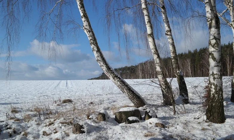 „Mamo, babcia nas nie kocha…” — wróciłyśmy od mamy i coś we mnie pękło