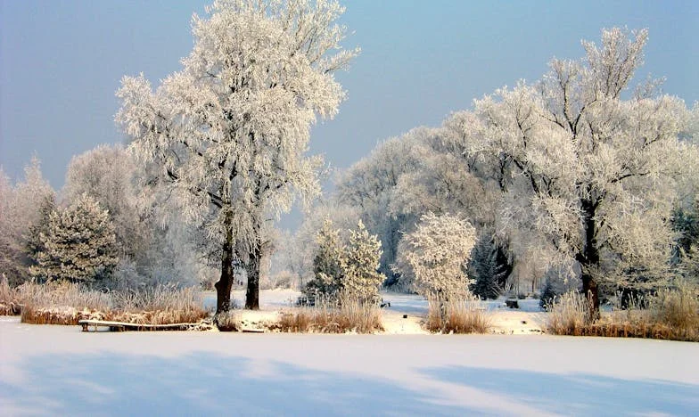 Matka wybrała jego. A ja miałam wtedy tylko dziesięć lat.