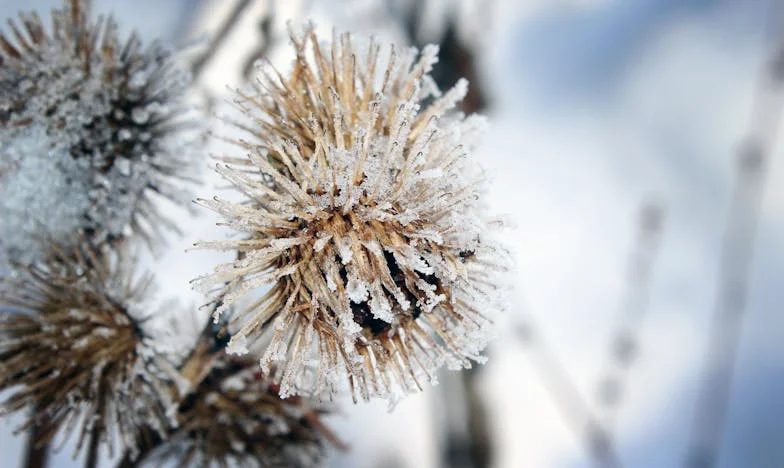 Między dwoma ogniami: ile jeszcze udźwignę dla rodziny?