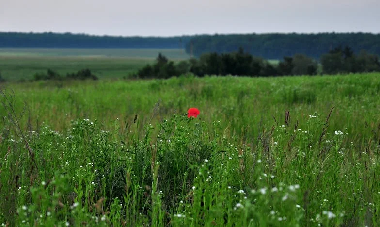 Moja córka całe życie powtarzała, że nie chce dzieci. Dziś stoi w progu z niemowlęciem i mówi: „Mamo, ja sobie nie radzę”