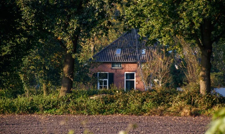 Moje kolczyki na aukcji. Zdrada w domu, której nie umiałam nazwać