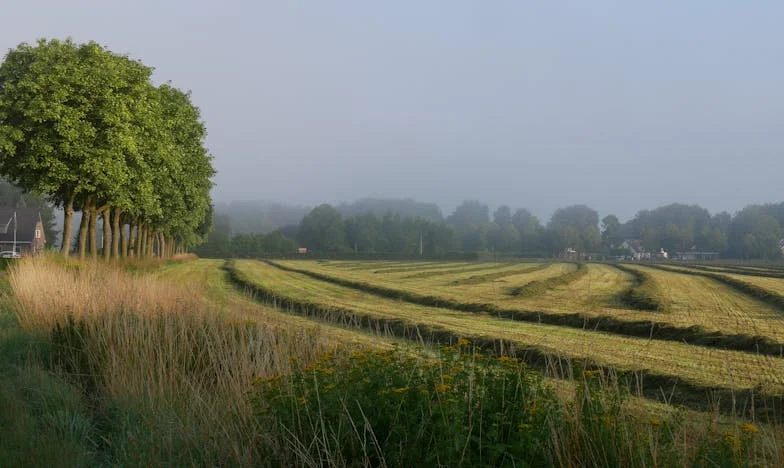 Nie dałam ci mieszkania, tylko pozwoliłam ci tu mieszkać: Historia polskiej rodziny o odpowiedzialności i granicach miłości