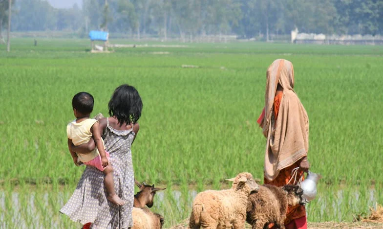 Nie Moje Życie – Sobotnia Noc Pełna Tajemnic i Łez