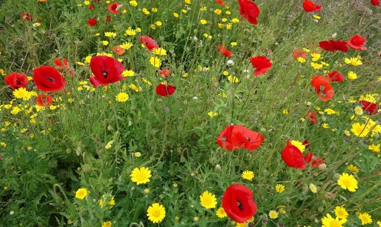 Prawie idealnie — ale wciąż nie całkiem