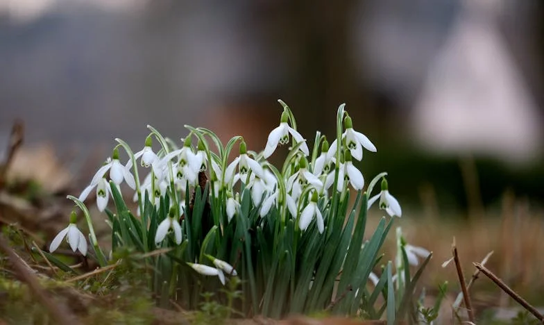 Šwagierka krzyczy, że głodzę jej córkę. A ja stoję w kuchni i czuję, jak moja rodzina pęka