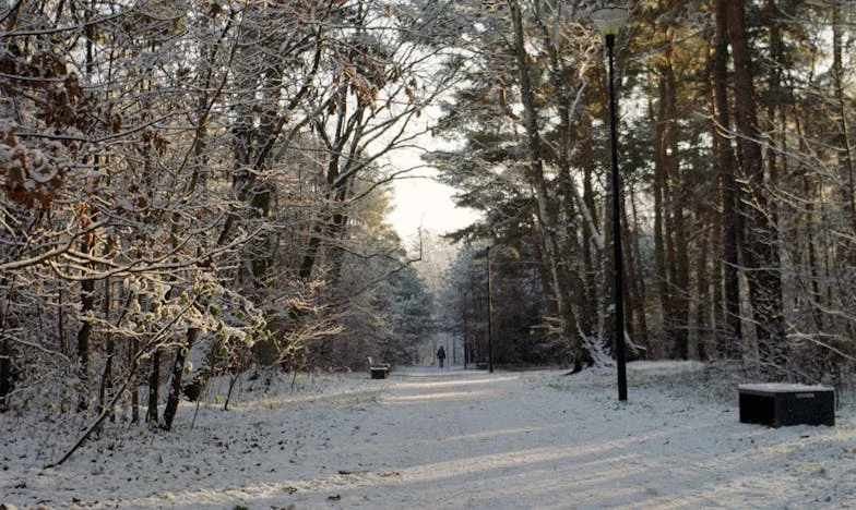 Uciekłam z mieszkania teściowej, bo głód ciszy był silniejszy niż wstyd