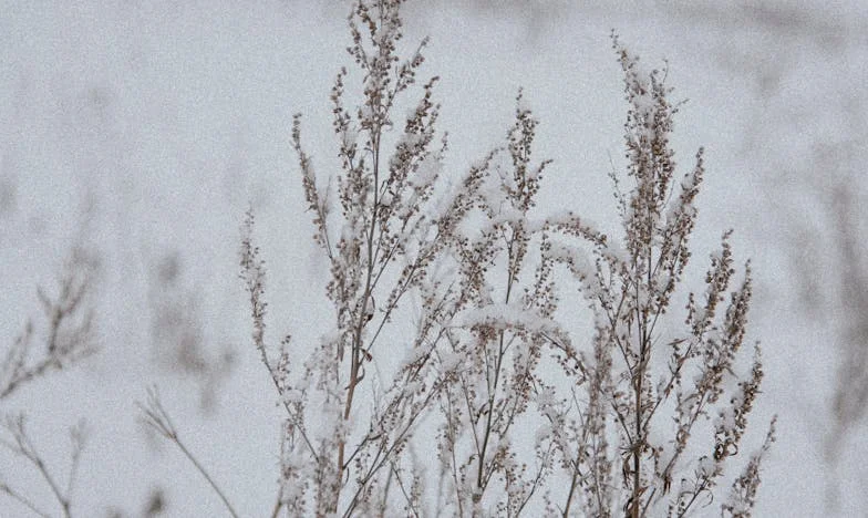 Urodziny Pawła, które prawie mnie złamały — i modlitwa, która mnie uratowała