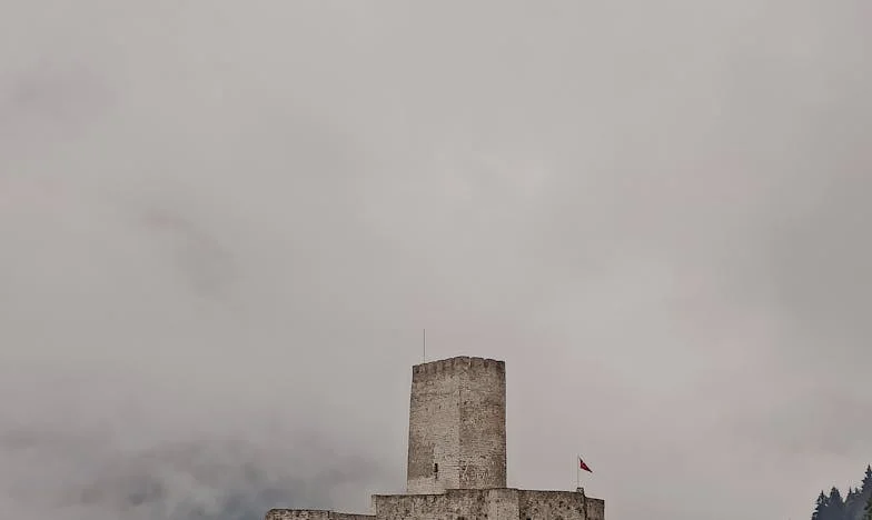 Dzień, w którym usłyszałam od wnuczki, że chcą oddać mnie do domu opieki. Historia, którą trudno zapomnieć
