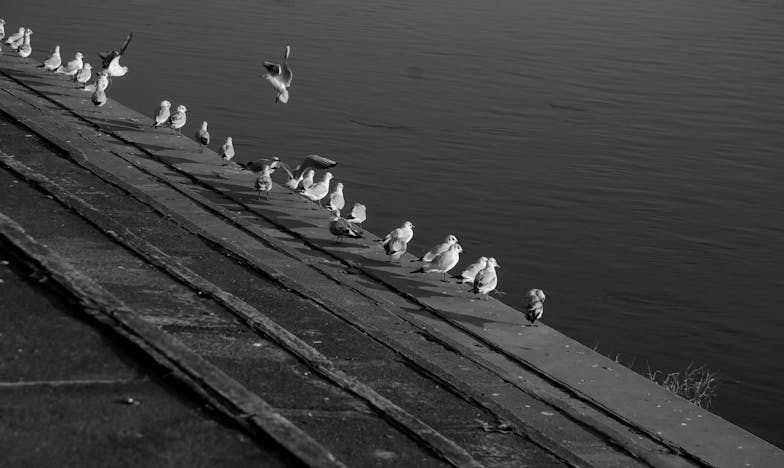 The Thin Ice Between Us