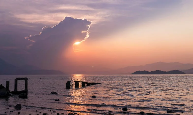 Wheels of Change: The Suitcase That Broke My Silence