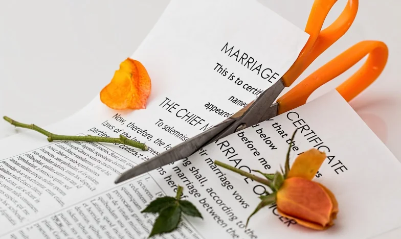 When Family Ties Unravel: The Day My Children Tried to Take My Home
