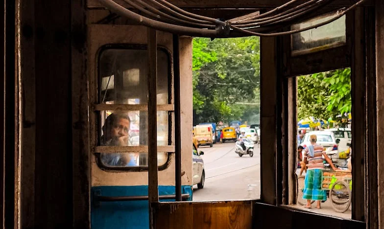 Wheels of Dreams: A Journey Through Pain and Freedom