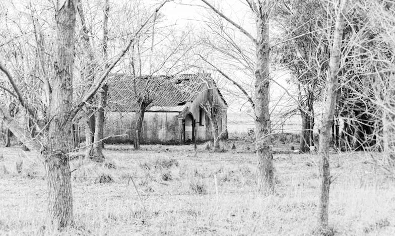When Family Ties Snap: The Day My Mother-in-Law Crossed the Line