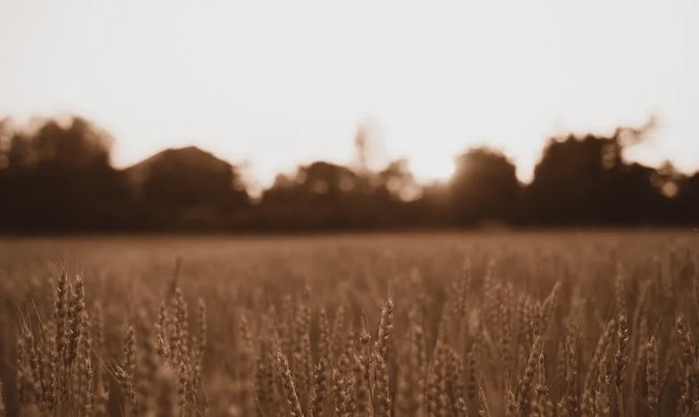 A Place to Call Home: My Son’s Future, My Past Mistakes, and a Battle for Belonging