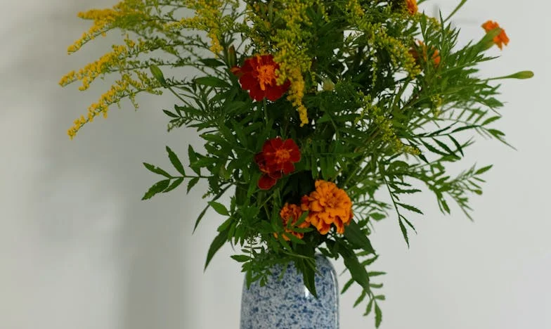 A Seat at the Ceremony: My Fight to Belong