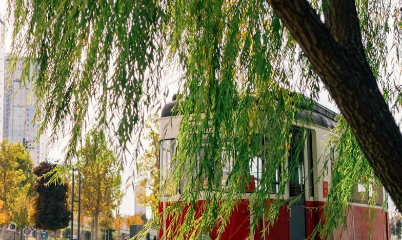 Closed Doors: A Mother's Heart in Exile