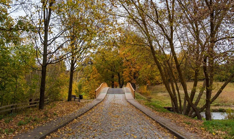 Do I Have to Prove My Innocence My Whole Life? The Story of Madison from Omaha