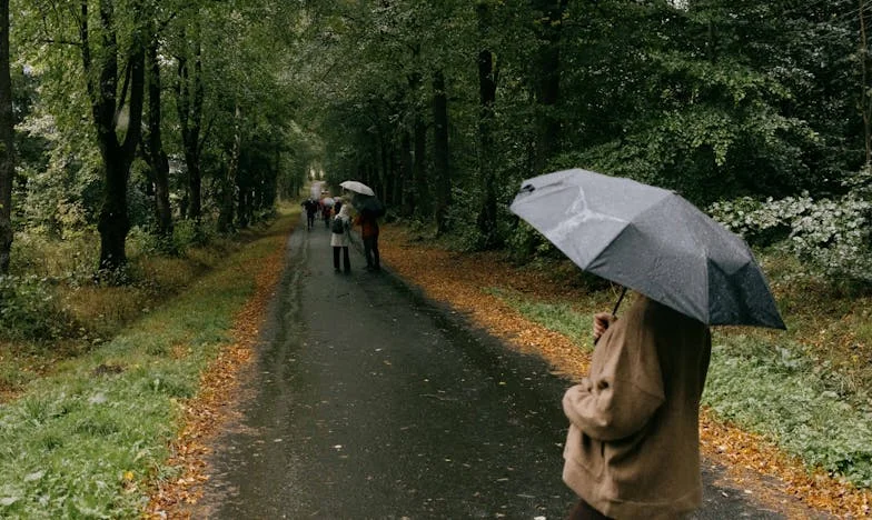 How Could You Sign That, Emily?