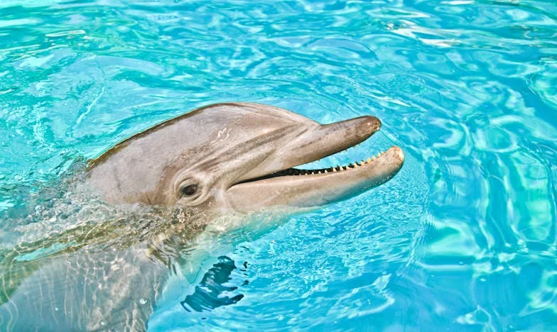 Not My Own – A Saturday of Secrets and Sorrows