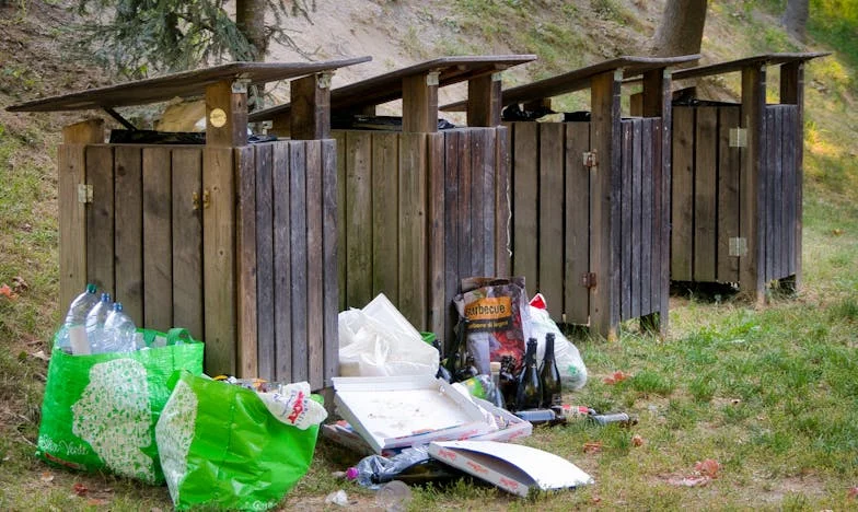 Roads Not Taken: A Father's Choice and a Family's Fate