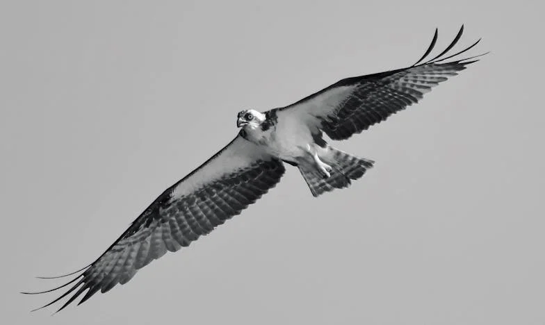 When Family Lines Are Drawn: My Fight to Love in America