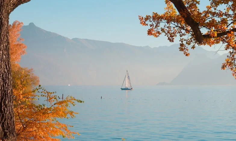 When Family Lines Blur: The Room That Sparked a War