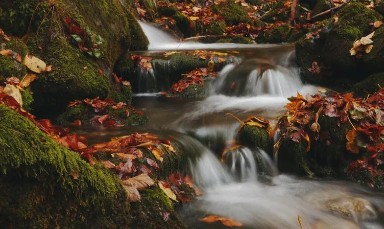 When Friendship Cuts Deep: My Story of Betrayal and Forgiveness