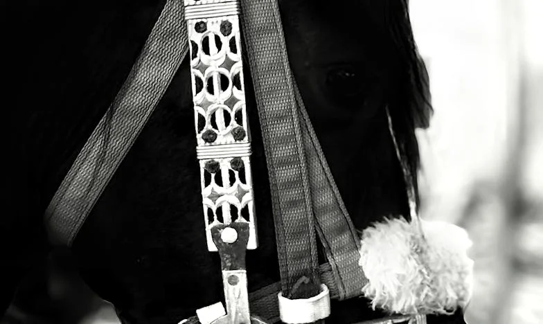 When Motherhood Crosses the Line: A Story of Friendship, Boundaries, and Letting Go