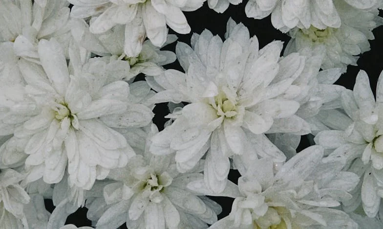 When Pride Costs More Than Love: The Christmas That Changed Everything