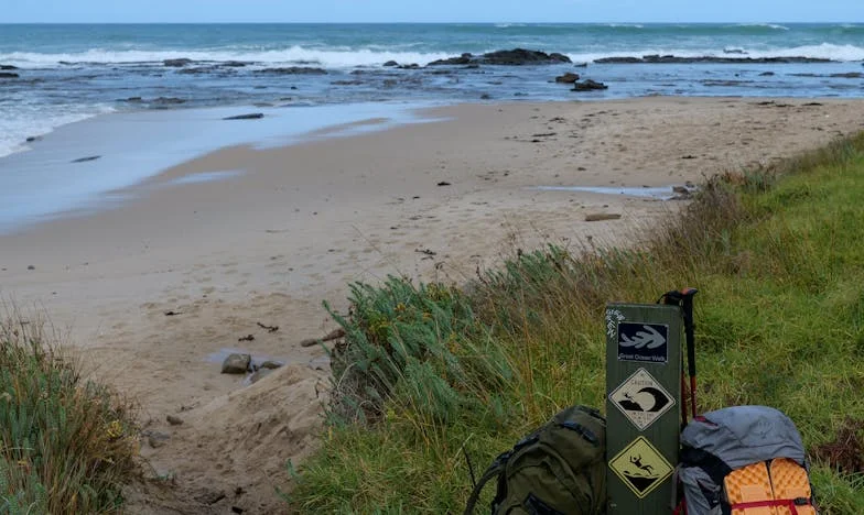 When the Rain Finally Stopped: The Truth About What Was Left Behind