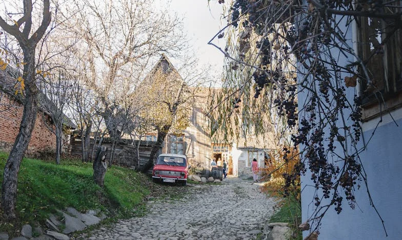 A Birthday to Remember: The Price of a Mother's Dream