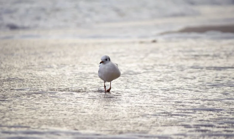 A Face in the Crowd: The Day a Stranger Called Me Grandma