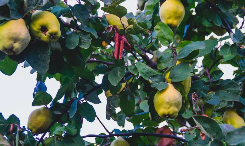 Betrayed by My Own Blood: A Sister's Confession