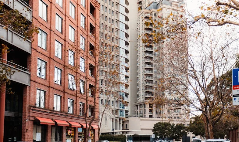 Between Blame and Desire: My Life in the Shadow of My Family