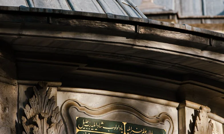 Between Duty and Love: The Story of an Older Sister in America