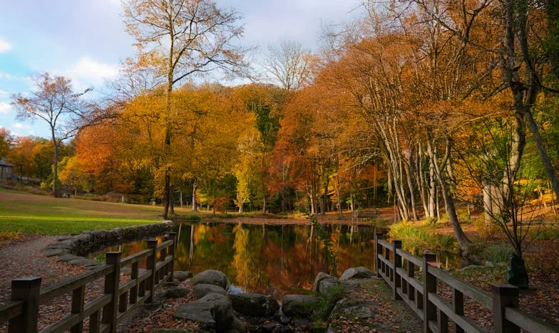 Broken Ties: The Day My Sister Walked Away