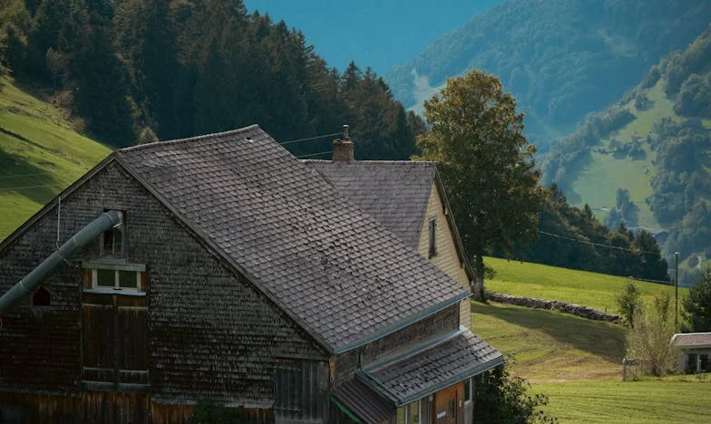 Child Support from Child Support: When Family Loyalty Crosses the Line