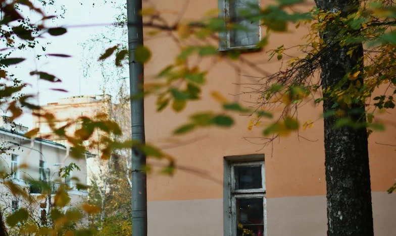 Forgiveness in the Rearview Mirror: A Mother's Unfinished Apology