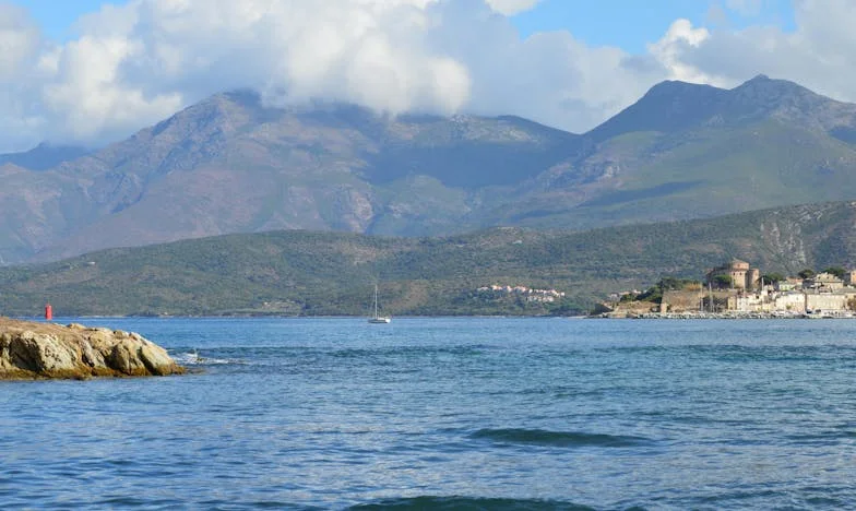 “I Don’t Want You at My Wedding”: A Mother’s Heartbreak and Search for Forgiveness