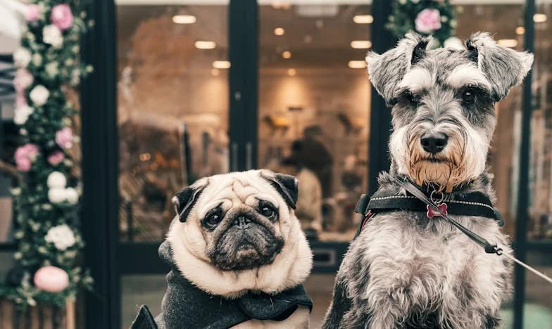 Left Behind: A Mother's Plea for Belonging