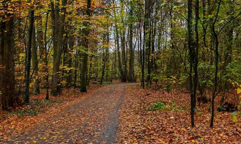 My Brother Took My Home: A Story of Betrayal, Family, and the Fight for Justice