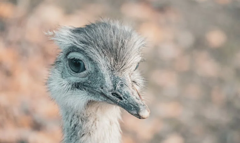 My Earrings, My Secrets: The Day My Home Turned Against Me