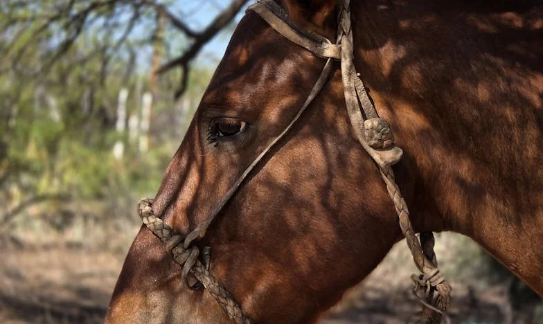 Second Chances: The Weight of Secrets