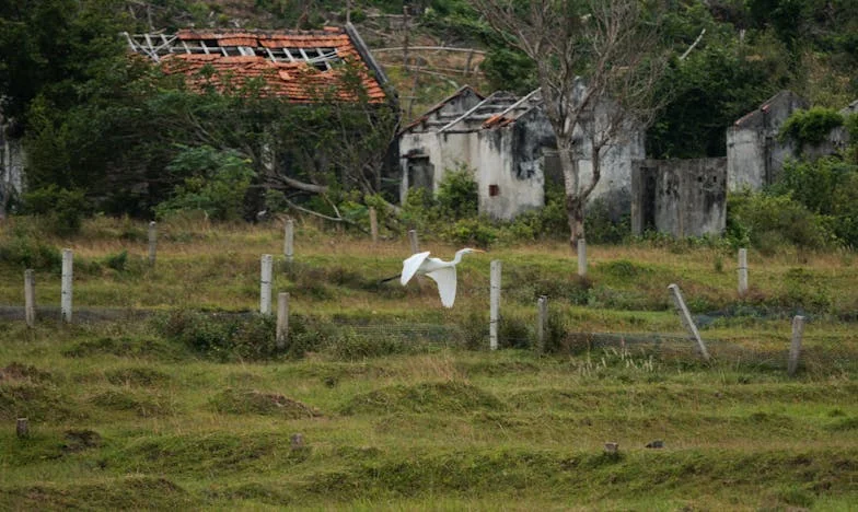 Secrets in the Suburbs: Saving My Family from the Inside Out