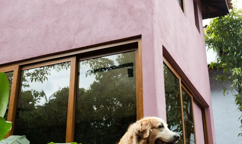 Secrets Unleashed: The Day My Classroom Changed Forever