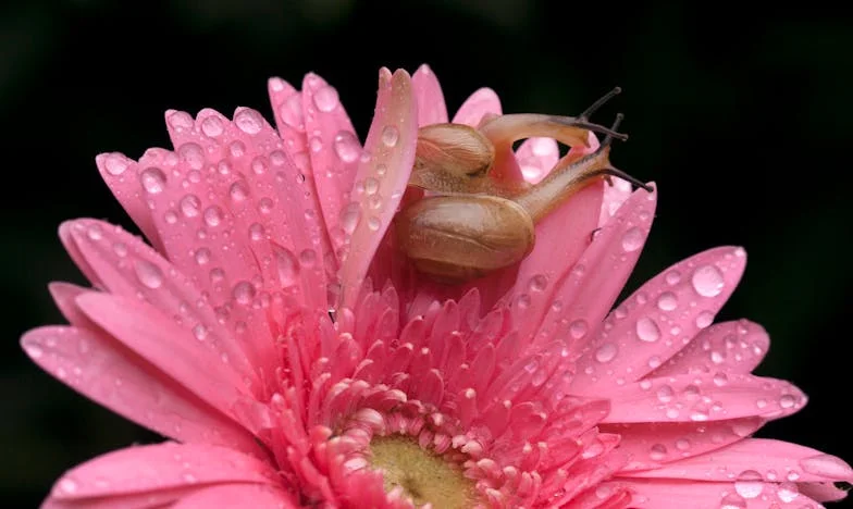 Shattered Certainties: The Day I Learned My Kids Weren’t Mine