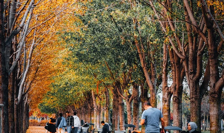 Shattered Promises: The Night I Lost Everything