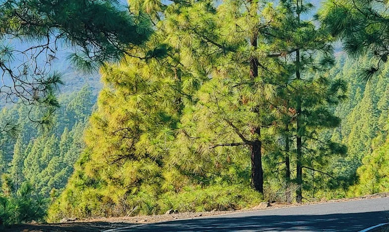 Sixty and Unseen: How Losing Everything Gave Me Myself Again