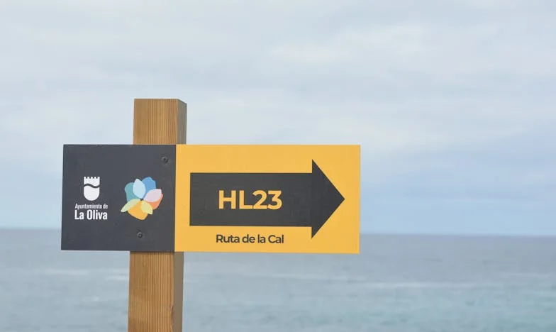 The Bride Refused to Be Outshined: The Day My Mother Tried to Steal My Wedding